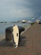 Mini Cruiser "Rostock" Longboard an der Hafenkante des Rostocker Stadthafens