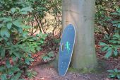 Longboard mit Gecko angelehnt an einen Baum, Landscape Format