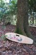 Longboard "Mone" liegend an einem Baum. Die Unterseite zeigt Hibiscus und einen Pfau