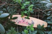 Longboard "Mone" hängend in Rhododendron. Die Unterseite zeigt Hibiscus und einen Pfau